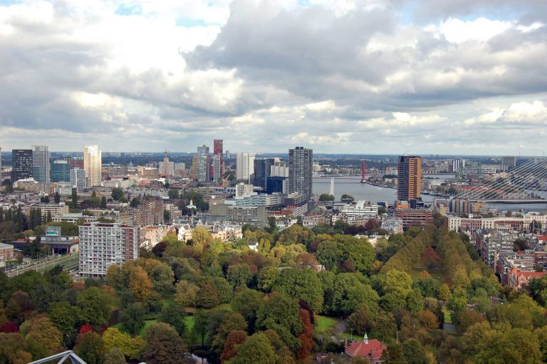 17 babywinkels in Rotterdam babywinkels in rotterdam header
