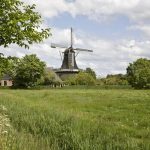 Molen in Feerwerd