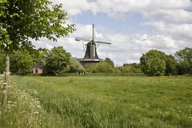 Babywinkels in Feerwerd Molen in Feerwerd