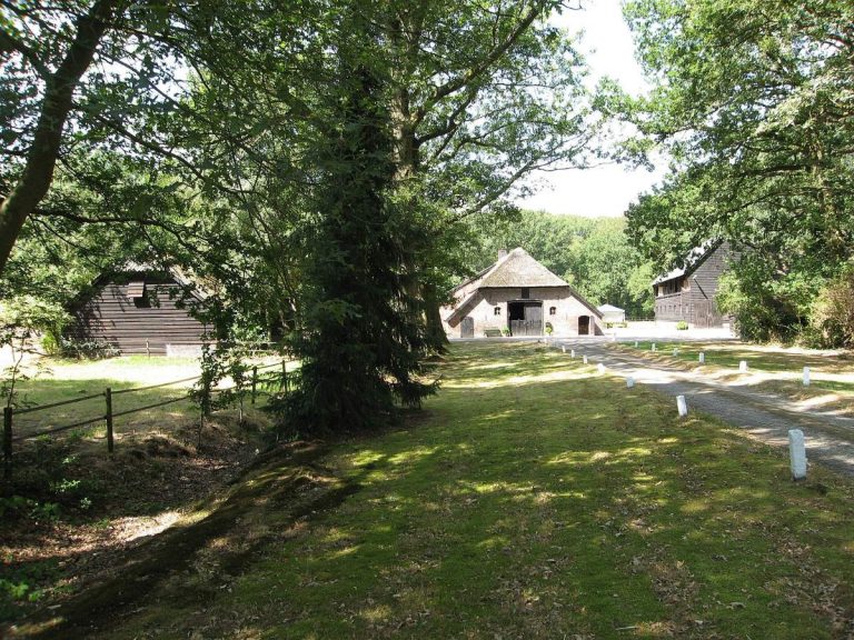 3 babywinkels in Putten