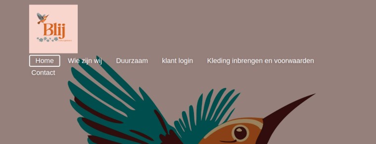Websitevoorbeeld van Blij Conceptstore Amersfoort