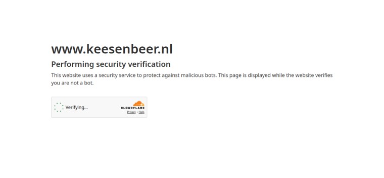 Websitevoorbeeld van Kees & Beer