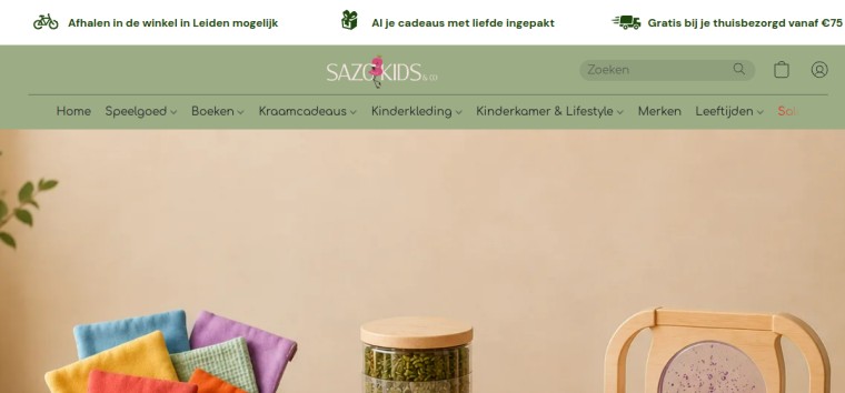 Websitevoorbeeld van Sazo Kids & Co