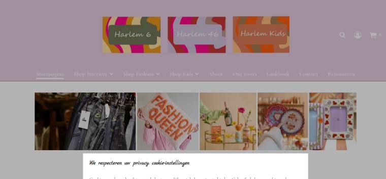 Websitevoorbeeld van Harlem Kids