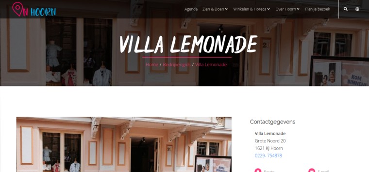 Websitevoorbeeld van Villa Lemonade